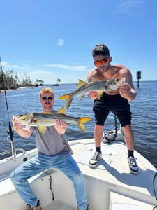 Two snook, a big catch in Punta Gorda