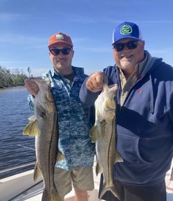 Two large snook fish caught in Punta Gorda