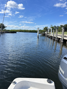 Perfect fishing setup at Charlotte Harbor's peaceful waters.
