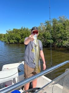 Calm morning fishing Punta Gorda