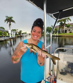 One person fishing in Punta Gorda