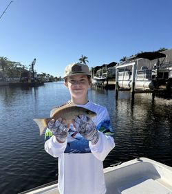 Grey snapper caught fishing in Punta Gorda FL waterway with boats and docks