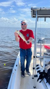 Sunsets and fishing rods in Punta Gorda