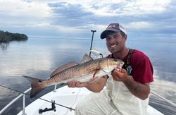 Redfish caught in FL measuring 23 inches
