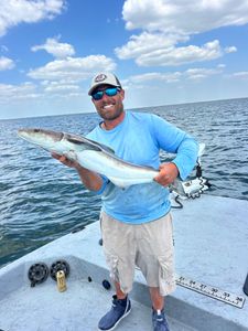 Cobia catch from Punta Gorda FL fishing trip on boat deck
