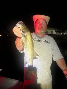 Snook caught while fishing in Punta Gorda FL at night