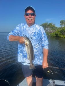 Redfish caught while fishing in Punta Gorda FL waters