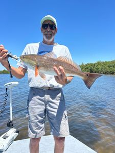 Redfish caught while fishing in Punta Gorda FL