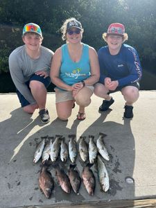 Successful fishing trip in Punta Gorda FL showing grey snapper and speckled trout catch