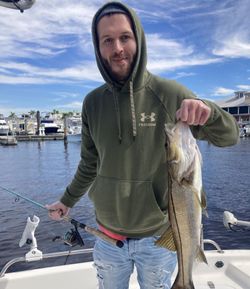 A lone snook fish caught in Punta Gorda