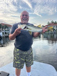 Snook caught while fishing in Punta Gorda FL waterway