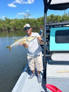 Snook catch on fishing boat in Punta Gorda FL mangrove waters