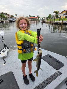 Snook caught while fishing in Punta Gorda FL on boat deck
