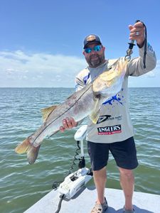 Snook fishing catch in Punta Gorda FL waters