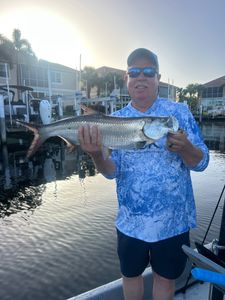 Tarpon catch displayed at marina in Punta Gorda FL