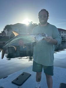 Tarpon catch displayed on fishing boat in Punta Gorda FL