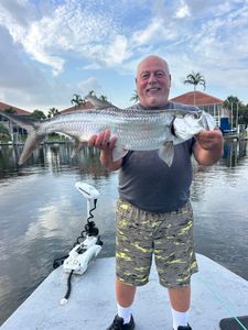 Large tarpon caught while fishing in Punta Gorda FL waters