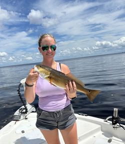 Redfish caught by angler in Florida