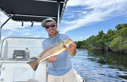 Redfish, 17-inch fish caught while fishing in Punta Gorda