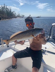 Redfish caught while fishing in Florida