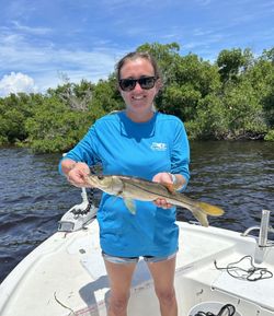 A snook fish being caught by a person in Florida