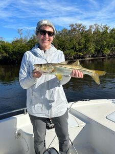 Snook fish caught in Punta Gorda