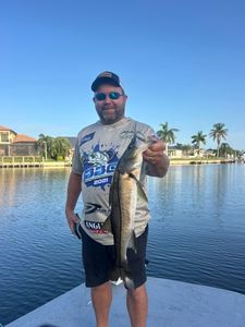 Angler holding caught snook on boat in Punta Gorda FL waters