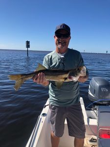 Snook fish caught by angler in FL