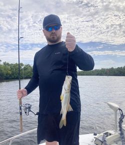 Snook fish caught by angler in Punta Gorda