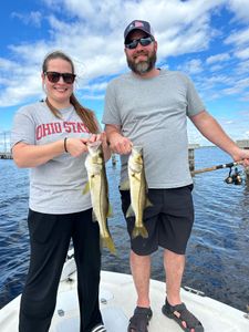 Two snook fish caught in Punta Gorda
