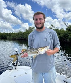 A single snook fish measuring 17 inches caught while fishing in Punta Gorda