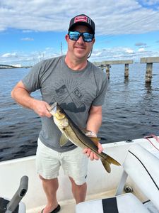 Snook fishing in Punta Gorda