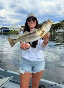 Speckled trout catch displayed on fishing boat in Punta Gorda FL