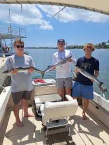 Awesome triple Barracuda catch!