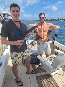Cheerful duo with Barracuda and Triggerfish!