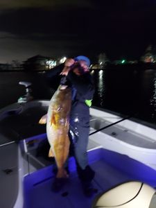 A person fishing in Houston