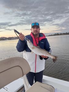 Angler fishing in Houston, Texas