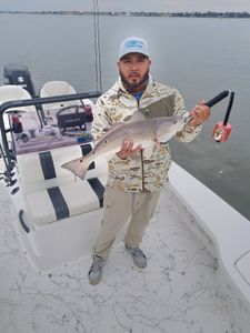 Redfish caught while fishing in Houston