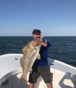 Fish-Species