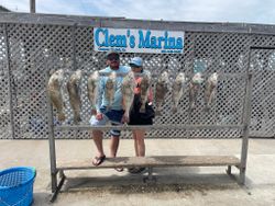 9 black drum fish caught while fishing in TX