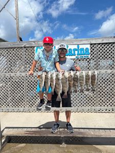Two anglers caught black drum fish in Corpus Christi
