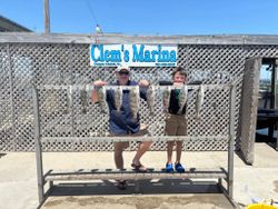Black drum fish caught fishing in TX
