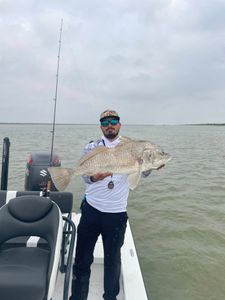 A person fishing for a black drum in TX