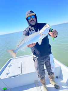 Fishing in Corpus Christi
