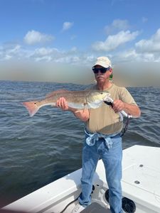 A single redfish caught while fishing in TX