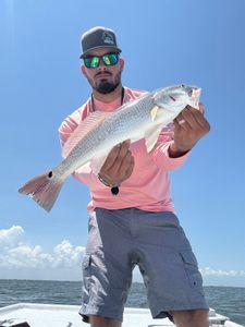 Redfish caught while fishing in TX