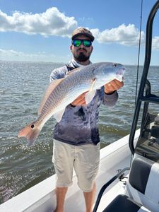 Redfish caught while fishing in Corpus Christi