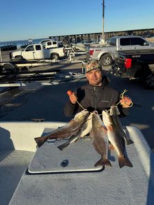 Three redfish caught while fishing in Corpus Christi