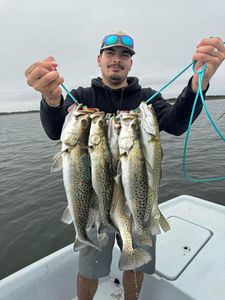 3 spotted weakfish caught while fishing in TX