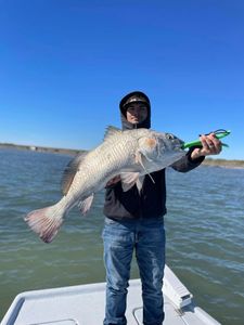 Angler fishing in Corpus Christi